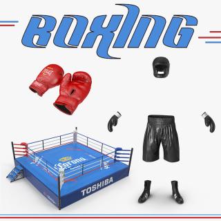 Boxing 3D Models Collection 3D