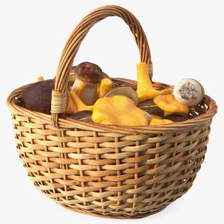 Basket of Mushrooms 3D model