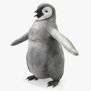 Baby Emperor Penguin T-Pose 3D