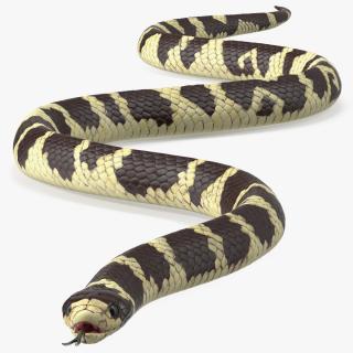 3D model California Kingsnake