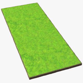 3D Lawn Turf Roll Unfolded model