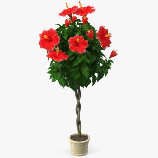 3D Braided Hibiscus Plant Red