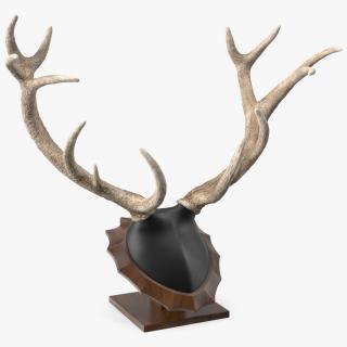 3D model Red Deer Stag Antlers on a Pedestal