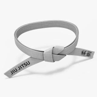 3D model Waist Jiu Jitsu White Belt Obi