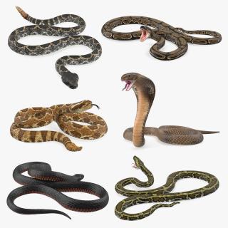 3D Rigged Snakes Collection 4