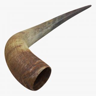 3D model Bulls Horn