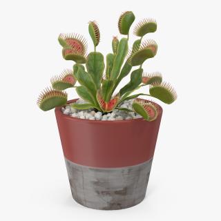 3D Venus Flytrap in Plant Pot