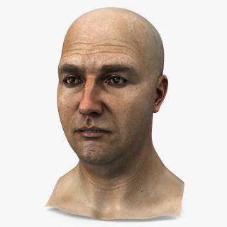 3D model Realistic Adult Male Bald Head