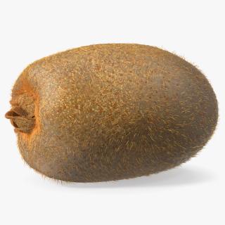 3D Tropical Fruit Kiwi with Fur model