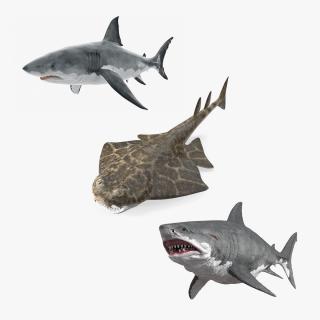 Rigged Sharks Collection 12 3D