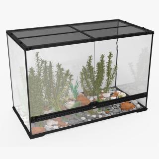 3D model Large Terrarium with Plants Garden and Two Iguanas