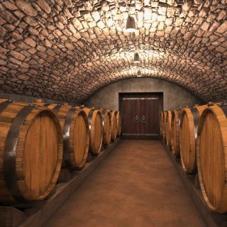 Old Wine Cellar Interior 3D model