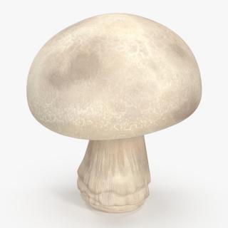 3D model Champignon