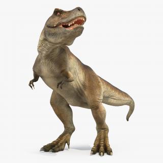 3D Tyrannosaurus Rex Standing