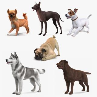 Dogs Rigged Collection 5 3D model