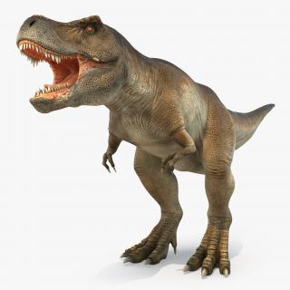 Tyrannosaurus Rex 3D