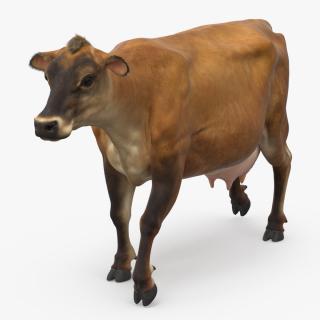 3D Jersey Heifer Brown Walking Fur