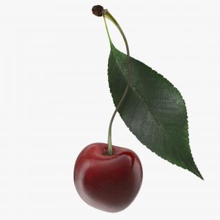 3D Sour Cherry with Leaf