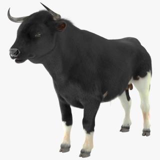 Black Bull Fur 3D model