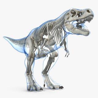 3D Tyrannosaurus Rex Skeleton with Skin