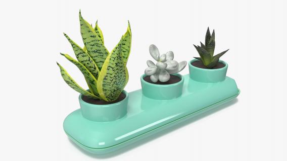 Trio Fresh Herb Pot Sagaform Green 3D model