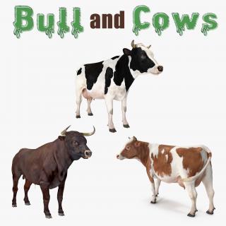 Bull and Cows 3D Models Collection 3D model