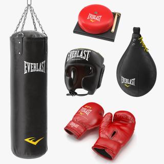 Everlast Competition Tools Collection 2 3D model