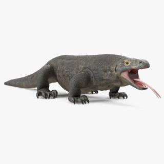 3D Komodo Dragon Neutral Pose