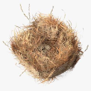 3D Straw Nest with Quail Eggs