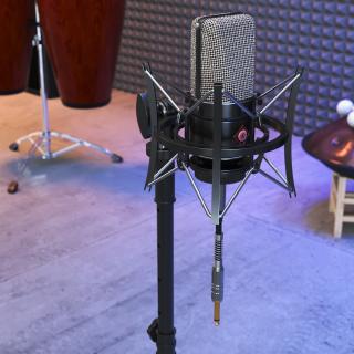 Professional Studio Microphone with Shock Mount 3D