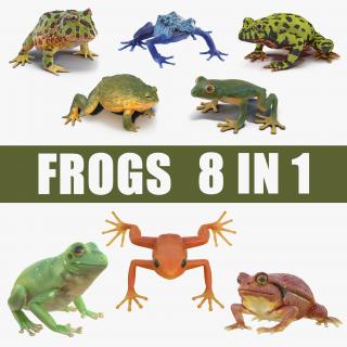 3D Frogs 3D Models Collection