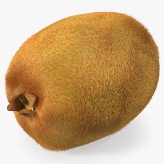 Kiwi Fruit with Fur 3D model