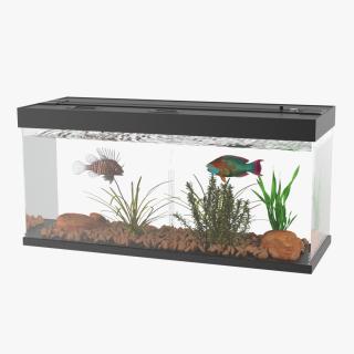 Aquarium Long Black 3D model