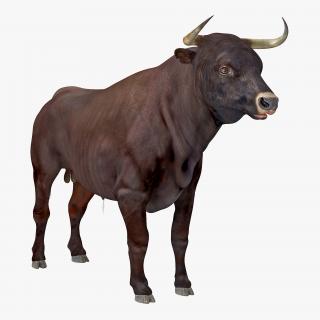 3D model Bull