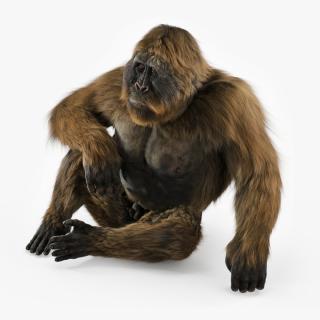 3D model Gigantopithecus in Sitting Pose Fur