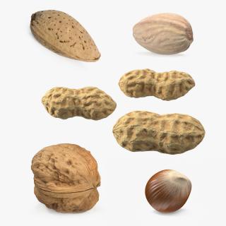 Nuts Collection 6 3D