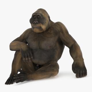 3D model Big Ape Gigantopithecus Rigged