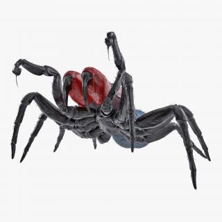 3D model Mouse Spider Fighting Pose with Fur