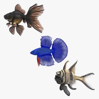 3D Aquarium Fishes Collection