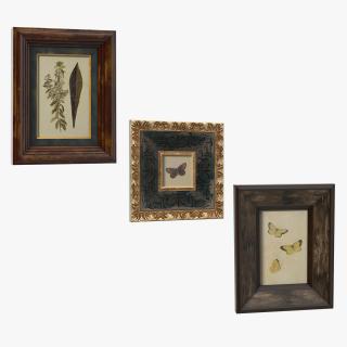 Picture Frames Collection 3 3D