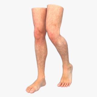 3D Realistic Man Legs in a Pose model