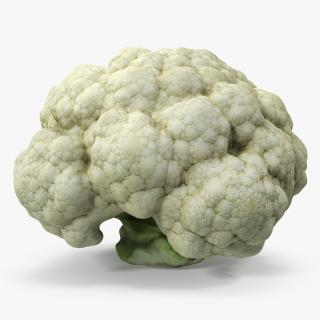 3D model Fresh Cauliflower Cabbage Vegetable