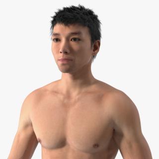 3D Asian Male Body Anatomy model