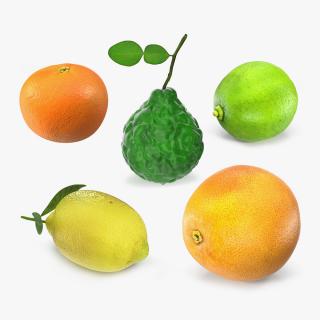 3D Citrus Fruits Collection 3