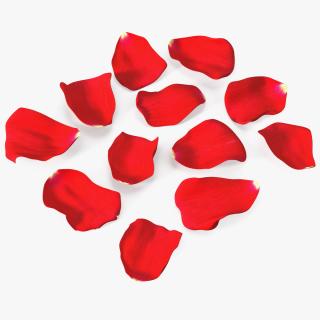 3D model Rose Petals Red