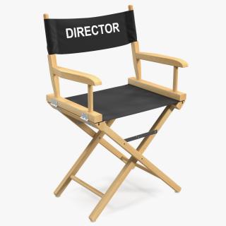 3D Premium Directors Chair model