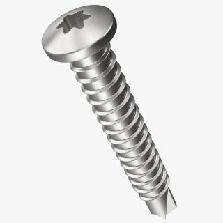 Self Drilling Screw 3D model