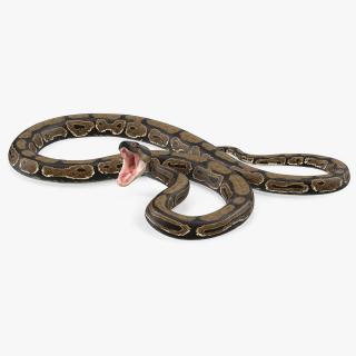 3D model Brown Python Snake Rigged