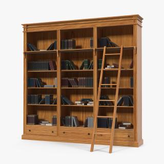 Wood Library Bookcase with Books 3D