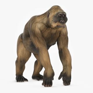 Big Ape Gigantopithecus Stands on Four Limbs 3D model